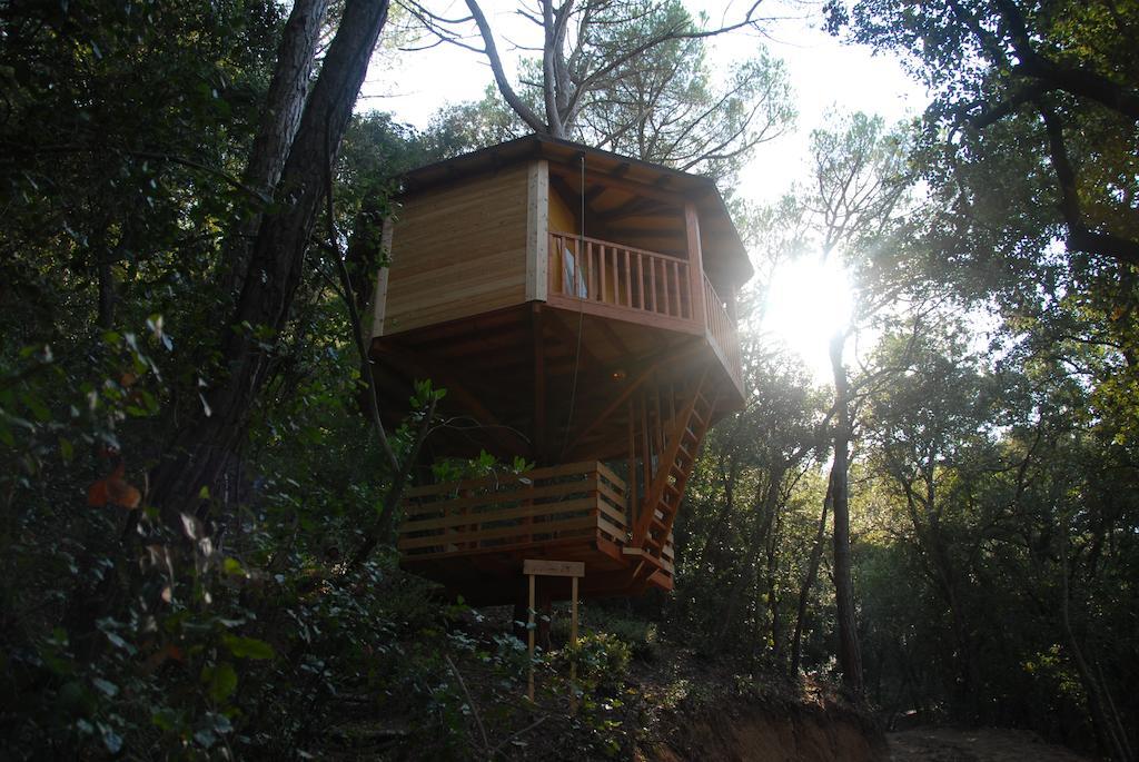 Cabanes Dosrius Canyamás Exterior foto