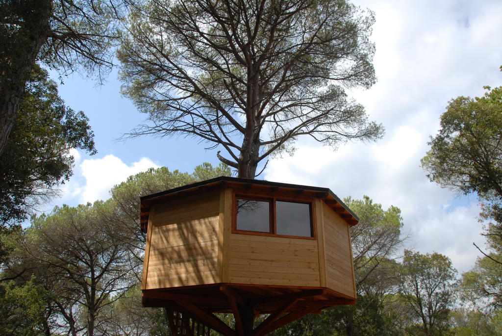 Cabanes Dosrius Canyamás Zimmer foto