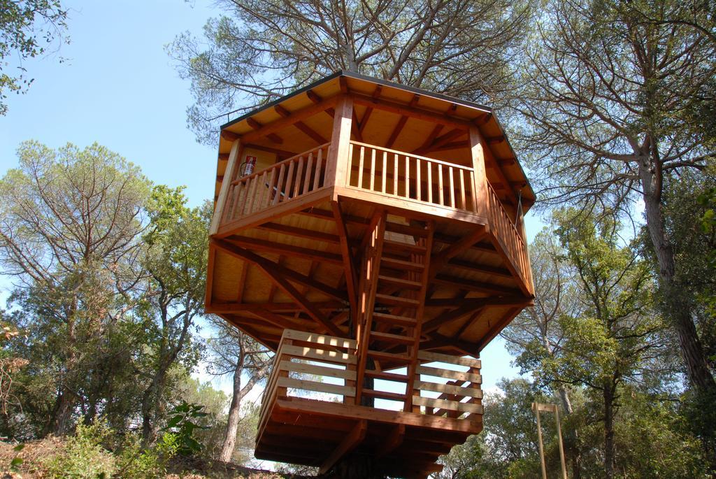 Cabanes Dosrius Canyamás Zimmer foto